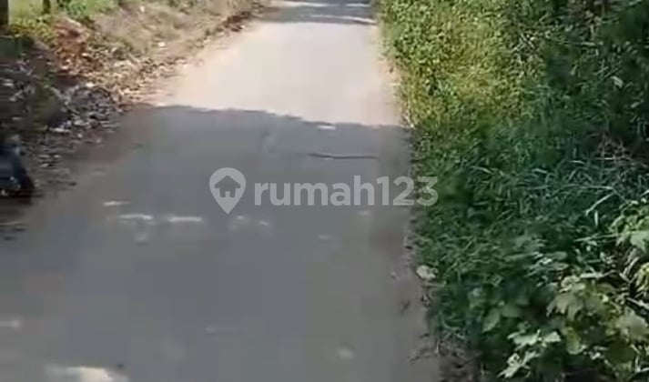Land in Curug Near SMAN 7 and Islamic Boarding School Negotiable