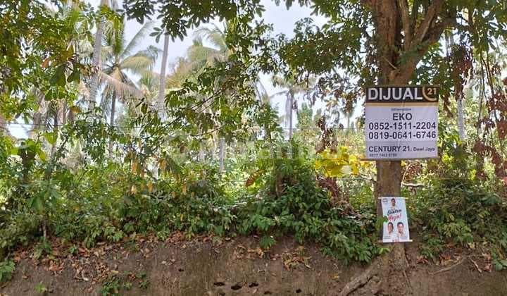 Tanah Kubangsari Karang Jetak Dekat Kawasan Industri