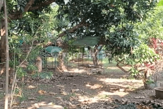 Tanah Multifungsi Di Panjaitan Kota Cilegon