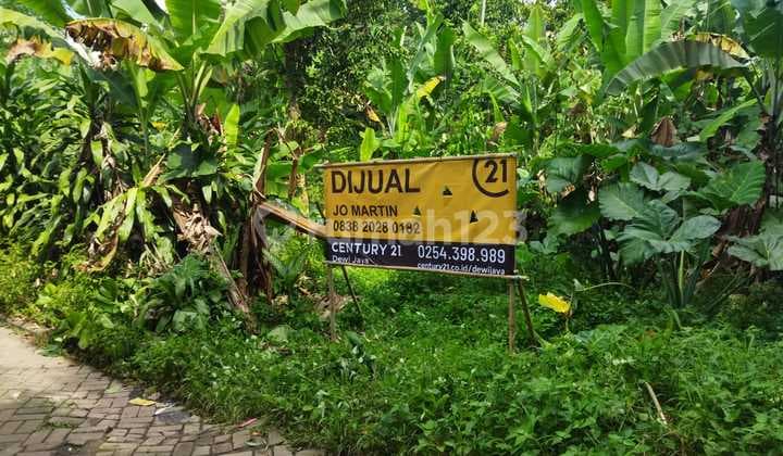 Tanah Kavling Kadupandak Pandeglang Akses Mobil