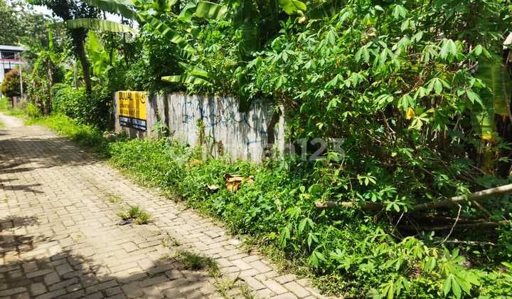 Tanah Cigadung Pandeglang Dekat Hotel Horison