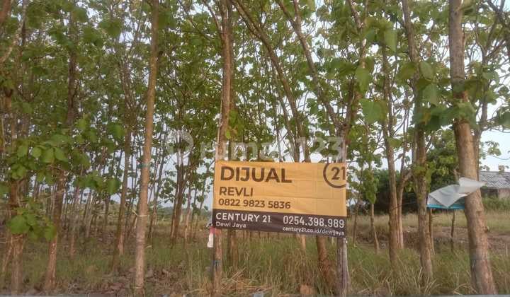 Tanah Cikerai Depan Waras Farm Nego Sampai Deal