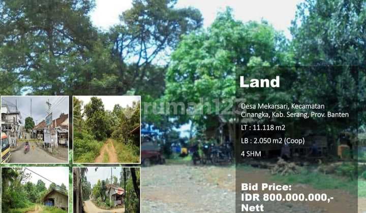 Tanah Cinangka Mekarsari Harga Miring Bonus Peternakan Ayam