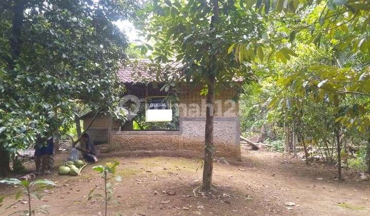 Lahan Cocok Untuk Agrowisata Padarincang