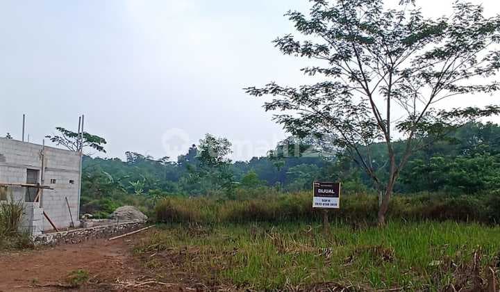 Kavling Curug Cilaku Serang Cocok Bangun Hunian Idaman