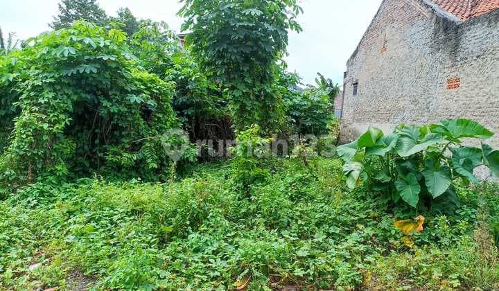 Affordable Plot Legok Drangong Ready to Build