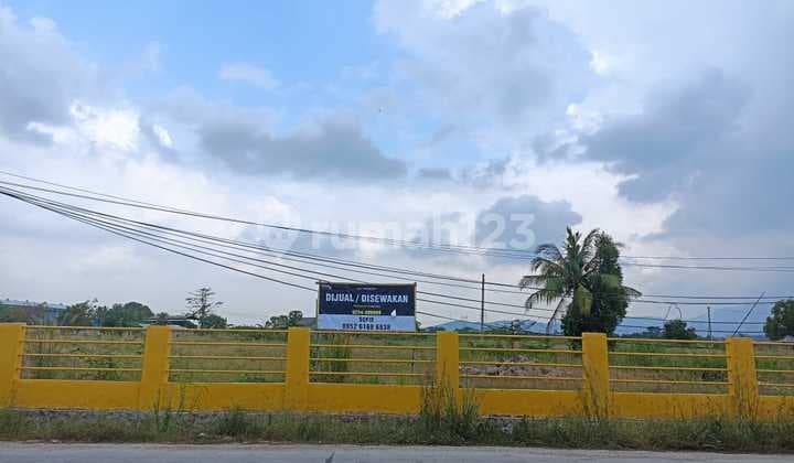 Tanah Oke Multifungsi Jalan Raya Bojonegara