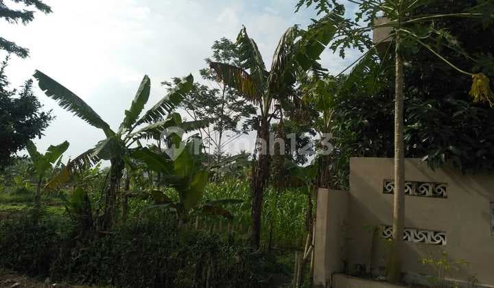 Land Affordable Price Ds Tipar Jaya Jambe Negotiable Smooth.