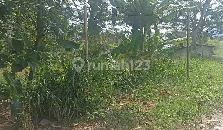 Tanah Strategis Jalan Utama Ciomas Dekat Untirta