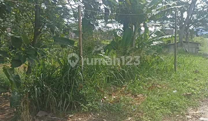 Tanah Strategis Jalan Utama Ciomas Dekat Untirta