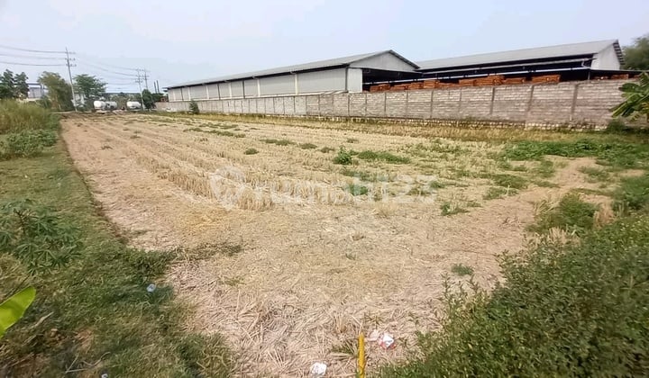 Tanah Industri Strategis Sidoarjo 2000M² Lokasi Premium