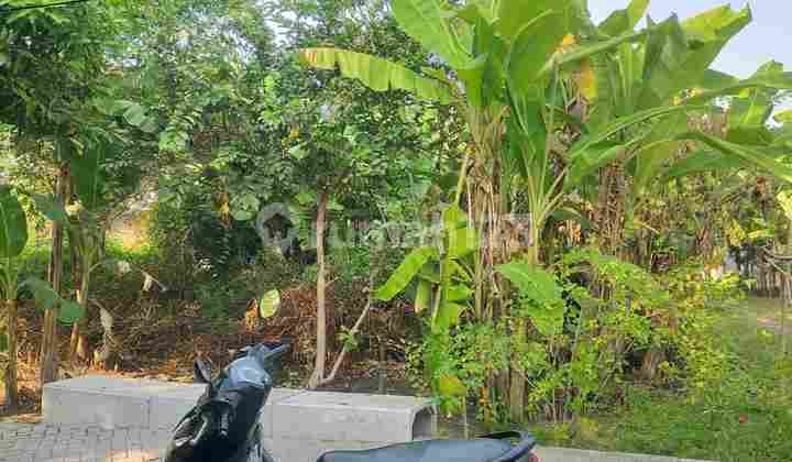 Tanah Pekarangan Krembung