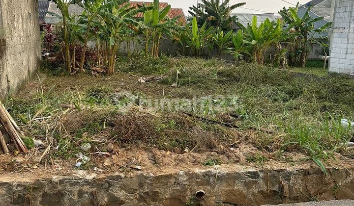 BANTING HARGA MURAH ,Tanah strategis, padat, bukan tanah urug,. Di area pemukiman yg ramai. Dengan harga terjangkau. Di Serua, Pondok Petir Bojongsari Depok. Cocok utk investasi,. Utk dibangun rumah kontrakan, rumah tinggal.