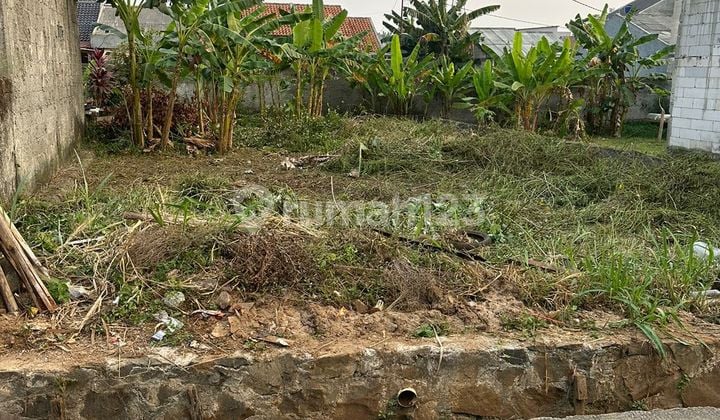 BANTING HARGA MURAH ,Tanah strategis, padat, bukan tanah urug,. Di area pemukiman yg ramai. Dengan harga terjangkau. Di Serua, Pondok Petir Bojongsari Depok. Cocok utk investasi,. Utk dibangun rumah kontrakan, rumah tinggal.