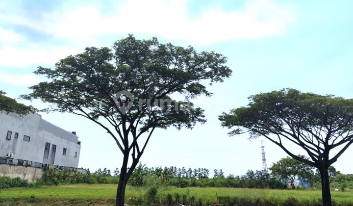 Commercial Plot Center Size 20X50 1000M Harapan Indah Bekasi