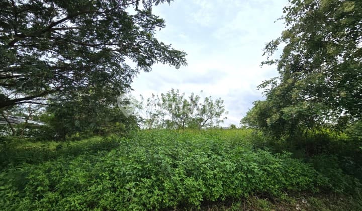 Kavling Dikawasan Industri Greenland Luas 11118M Delta Mas Cikarang