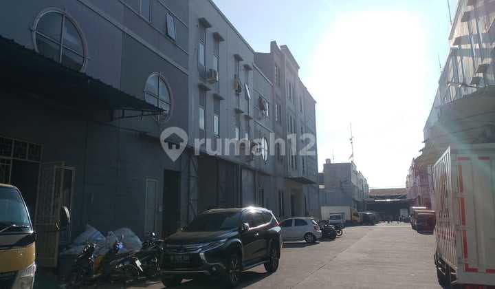 Di Jual Gudang Elang Laut Pik Uk12x27 HGB Murni