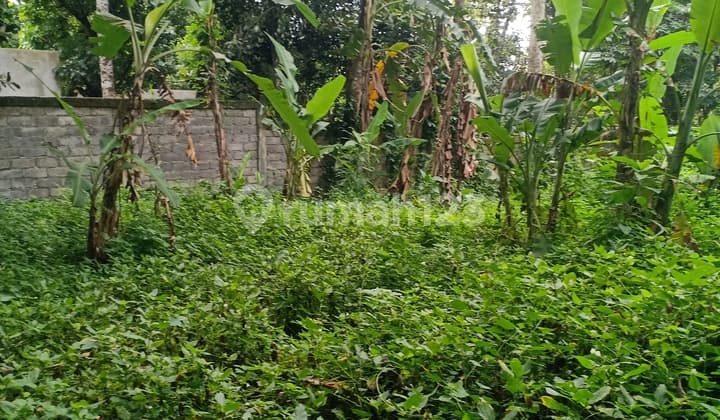 River los land close to Seseh and Canggu