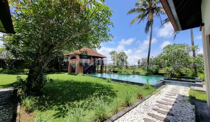 Villa with views of eternal rice fields and spacious gardens in Ubud