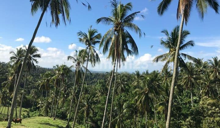 Tanah View Laut dan Tepi Sungai di Selemadeg