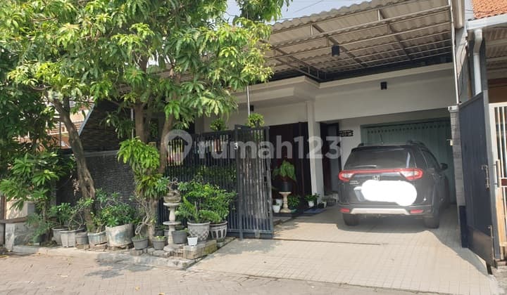 Rumah hokky & ngantong