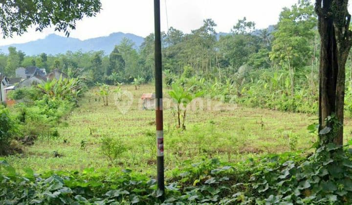 Tanah peruntukan resort/ perumahan/ SPBU/ hotel