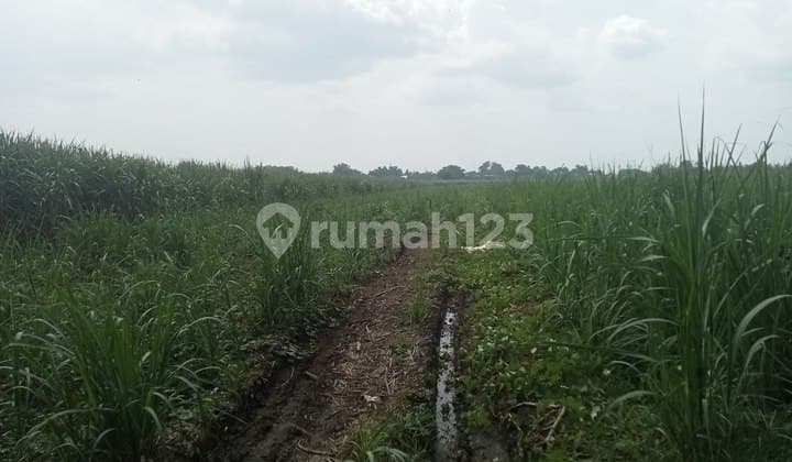 Tanah Dekat Exit Tol Bypass Mojokerto