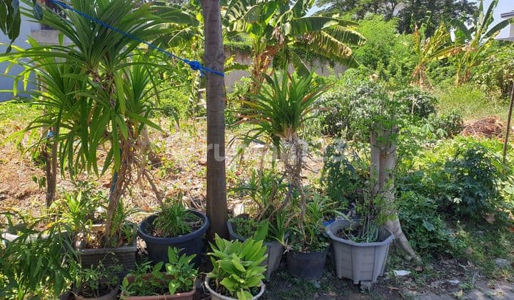 Jarang ada kavling dalam Cluster