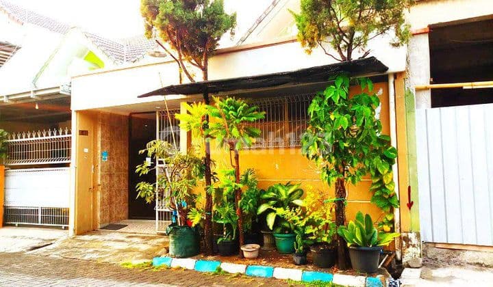 Affordable House Behind Fave Hotel Solo Baru