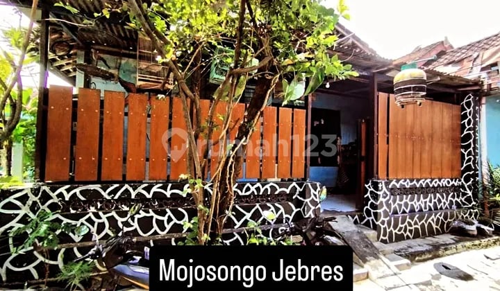 Cheap House in Mojosongo Village, Jebres, Solo City