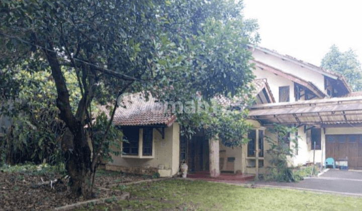 Rumah & Tanah Luas >1.800 M² di Depok - Potensi Cluster / Hunian Pribadi