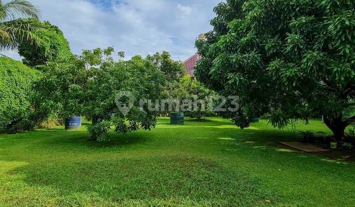 Tanah Kavling Siap Bangun Luas 851 Meter Patra Kuningan