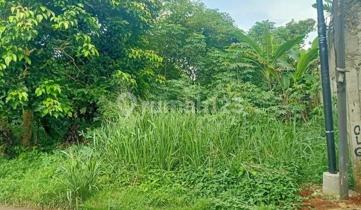 Murah Dan Jarang Ada Kavling Didaerah Dangdang Cisauk Tangerang