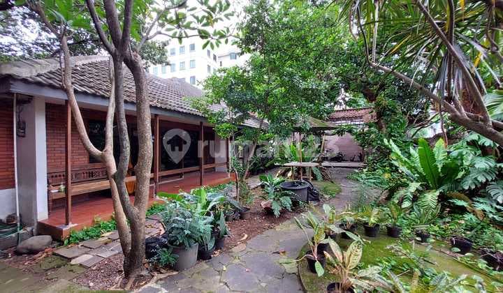 A serene house in the Kalibata Pancoran area, South Jakarta.
