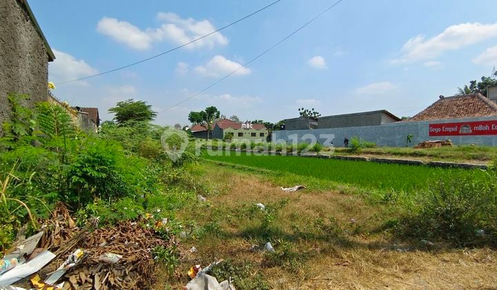 DIJUAL CEPAT Tanah Pekarangan Sangat Istimewa Jarang Ada, Cangkringan Kalasan (REPRICING), Area Pergudangan dan Industri.