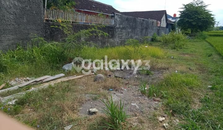 Tanah Pekarangan Sangat Istimewa, Jarang Ada (Repricing)