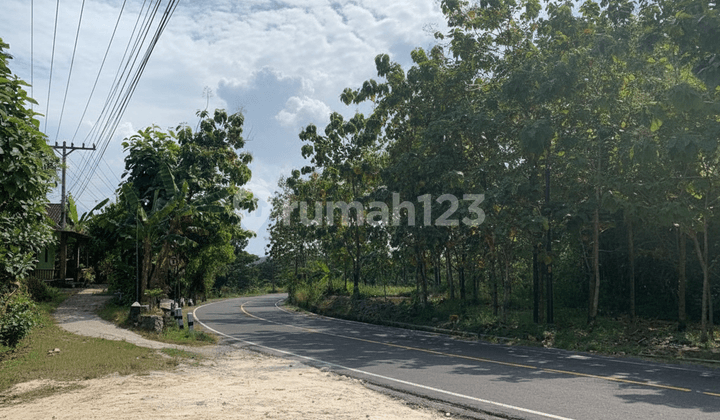 Land for Sale in Jogja Wonosari, Near Heha Sky View, Pictniq Land, Bukit Bintang, De Mangol View, The Manglung View & Resto