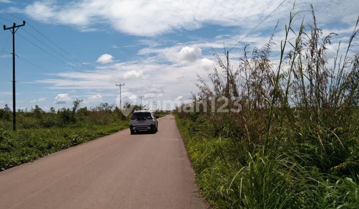 Tanah cantik super strategis . Di kalimantan barat Tanah