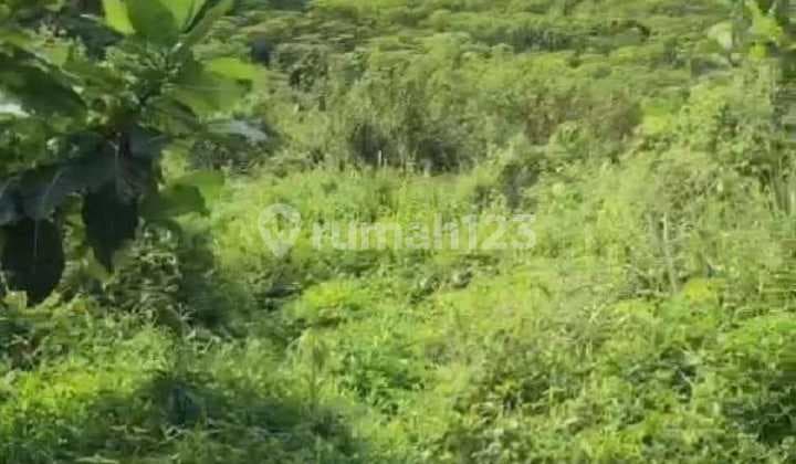 Jual Kavling 100 Ha Siap Bangun Perumahan, Harga Bagus di Sentul, Bogor