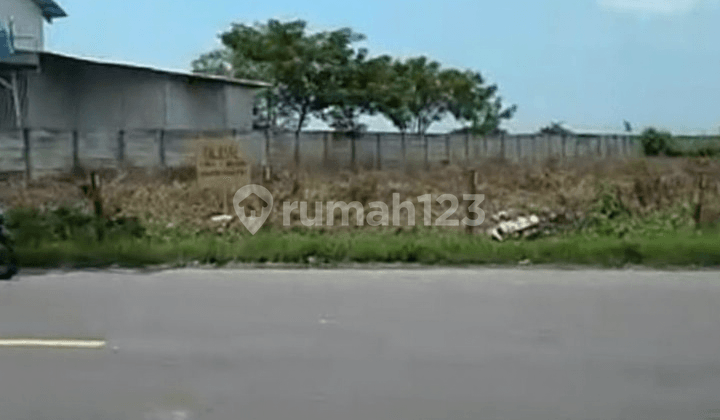 Dijual Tanah di Tuban Nol Jalan Raya Zona Industri