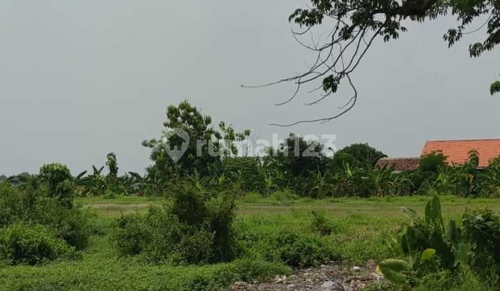 Request a004: Large Land Parcel with Zero Road Access, Cheap Near the Pier