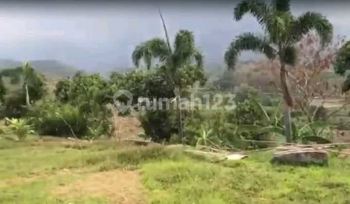 Ron.a2216 Wide Land in Pacet Area, Mojokerto Suitable for Villa