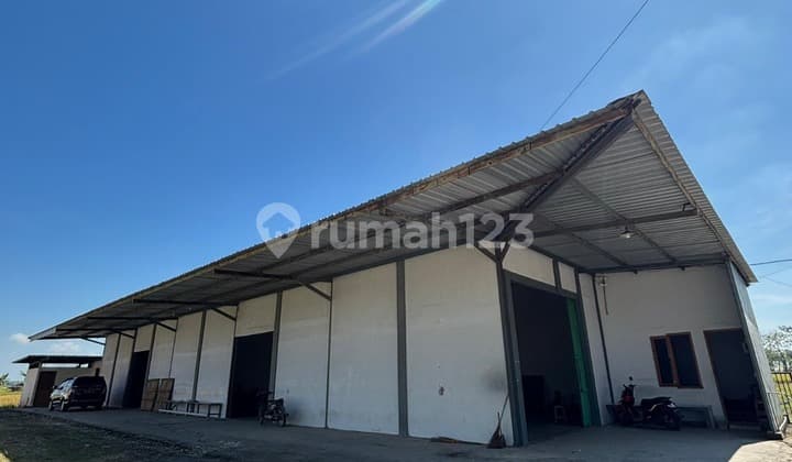 For Sale Warehouse in Ngawi Strategic Ready to Use Alf 59