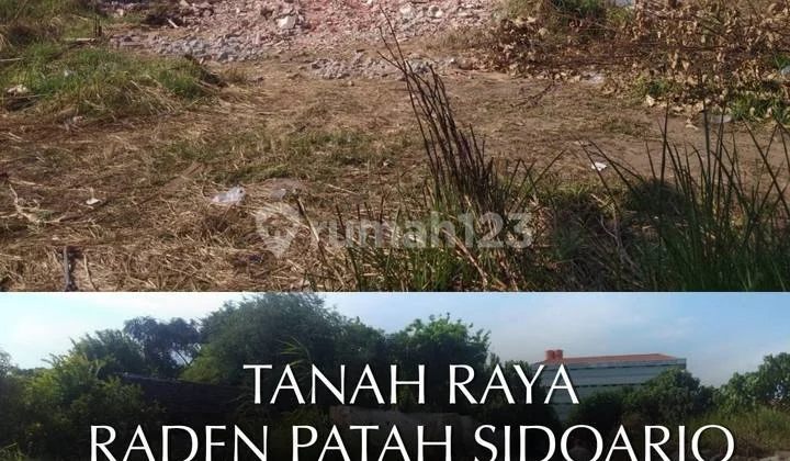 Tanah O Jln Raya Raden Patah Sidoarjo Tanah O Jln Raya Raden Patah Sidoarjo