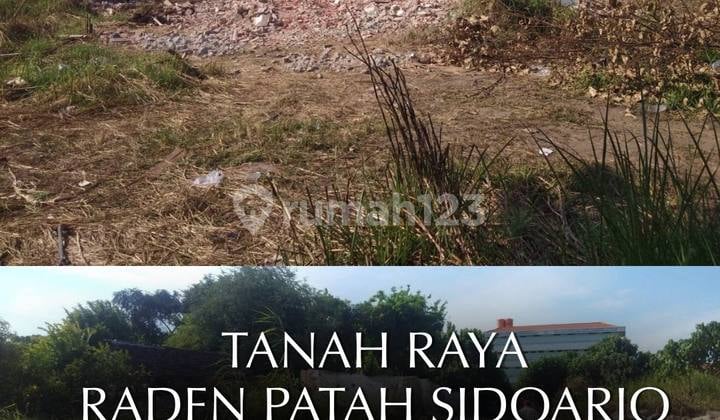 Land O Jln Raya Raden Patah Sidoarjo