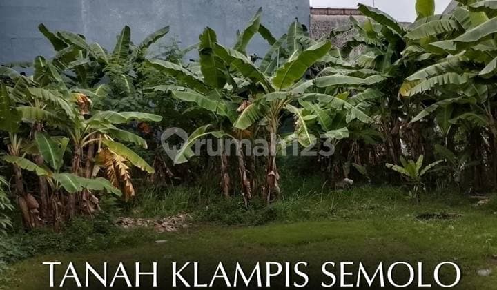 Land for Sale on Jl Klampis Semolo Surabaya