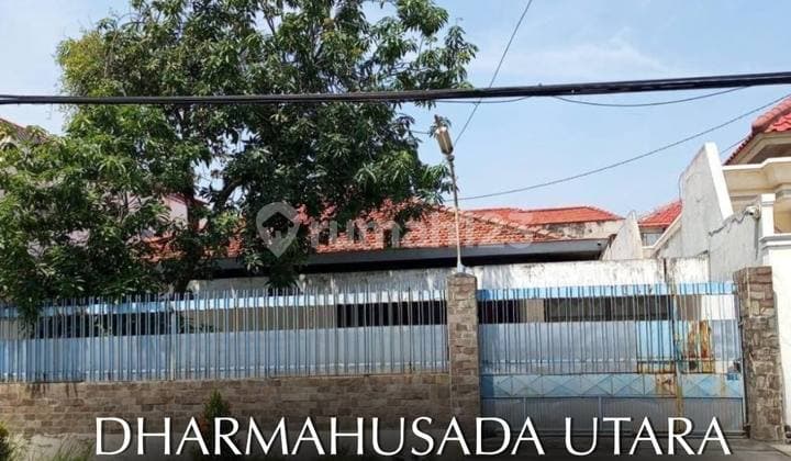 Dijual Cepat Rumah Lama dan Perlu Renov Di Dharmahusada Utara