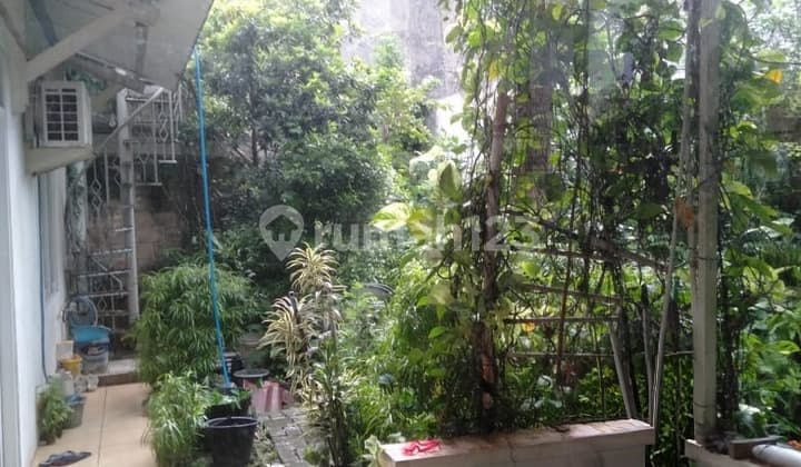 Rumah di Taman Chrysant BSD Dijual