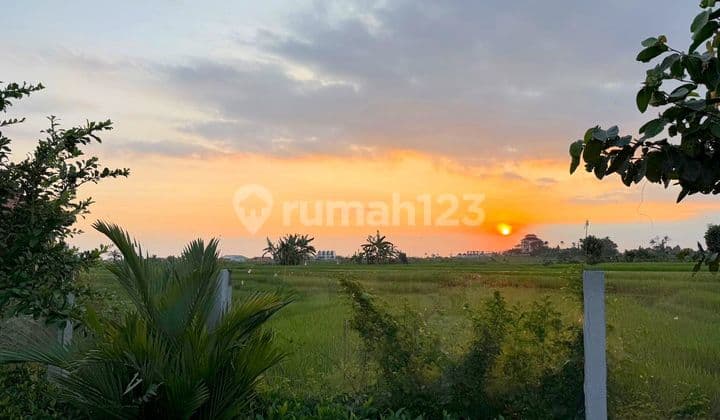 Sunset 3 Bedrooms Villa Sessah Rice Field View
