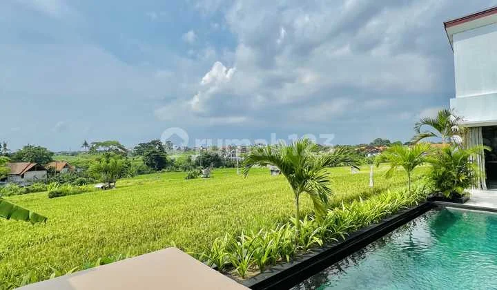 Large and Luxurious 3 Br Villa in Umalas With Rice Field View